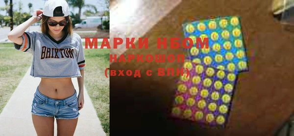 прущий лед Бикин