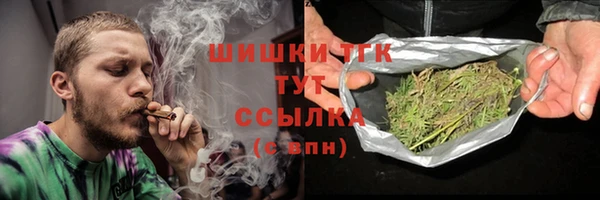 МДПВ Михайлов