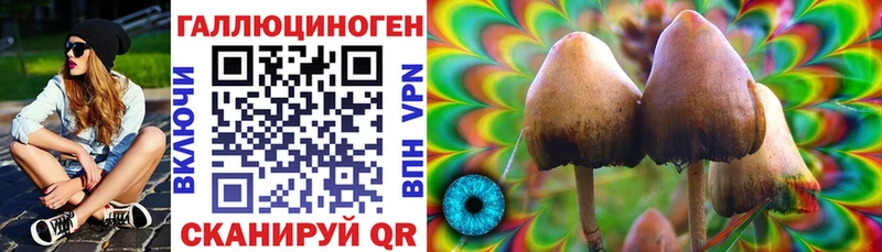 KRAKEN маркетплейс  Каневская  Псилоцибиновые грибы Cubensis  сколько стоит 